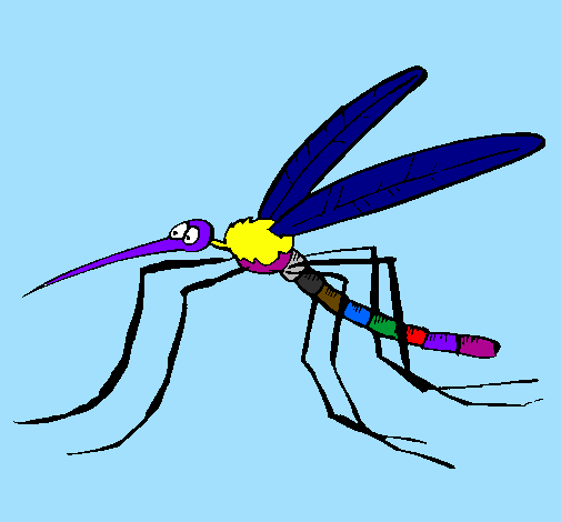 Coloring page Mosquito painted byana luiza