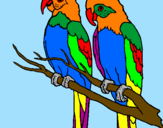 Coloring page Parrots painted byCarla