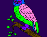 Coloring page Barn owl painted byanaluiza