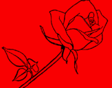 Coloring page Rose painted byMarin age:3