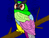 Coloring page Great horned owl painted byanaluiza