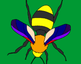 Coloring page Bee painted byana luiza