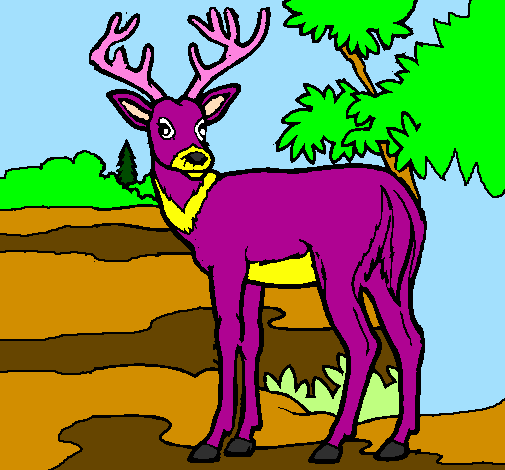Coloring page Young deer painted byana luiza
