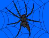 Coloring page Spider painted byhammza