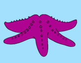 Coloring page Starfish painted byjenife
