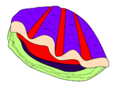 Coloring page Clam painted byanaluizarodrigues