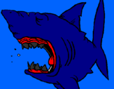 Coloring page Shark painted byGABOR