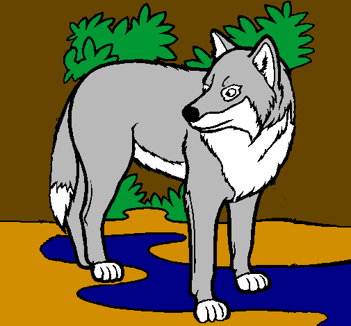 Coloring page Wolf painted byShamuk