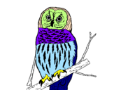 Coloring page Striped owl painted byanaluizarodrigues