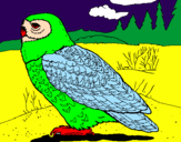 Coloring page Snowy owl painted byanaluizarodrigues