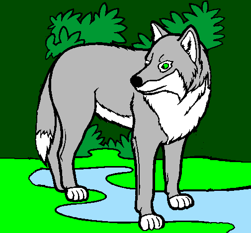 Coloring page Wolf painted byEvan Burns