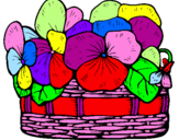 Coloring page Basket of flowers 12 painted by05DC05D905D805DC