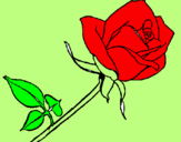 Coloring page Rose painted byjose832