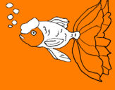 Coloring page Tancho fish painted by87io%uFFFD