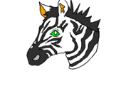 Coloring page Zebra II painted byMarty the zebra