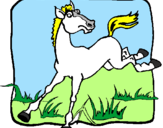 Coloring page Kicking horse painted byspirit