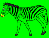 Coloring page Zebra painted bydaniel