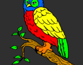 Coloring page Barn owl painted bydaniel