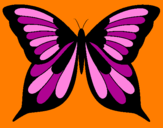 Coloring page Butterfly painted byachol