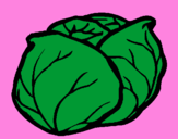 Coloring page cabbage painted bymariana
