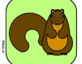 Coloring page Squirrel II painted byjuliana