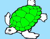 Coloring page Turtle painted byjack