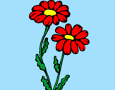 Coloring page Daisies painted byAMR