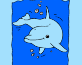 Coloring page Dolphin painted byapo