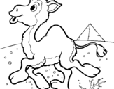 Coloring page Camel painted byTaylor