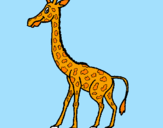 Coloring page Giraffe painted byamramr