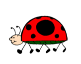 Coloring page Ladybird walking painted bymariqueta