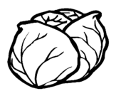 Coloring page cabbage painted byabc