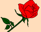 Coloring page Rose painted byLiza