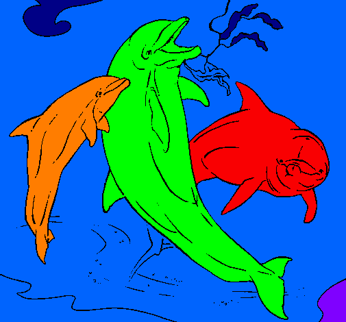 Coloring page Dolphins playing painted byjordi        