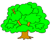 Coloring page Tree painted byizan