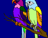 Coloring page Parrots painted byIratxe