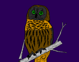 Coloring page Striped owl painted byIratxe
