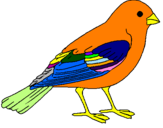 Coloring page Sparrow painted byUggh
