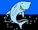 Coloring page Shark painted byadrianoco