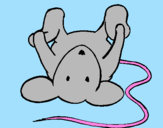 Coloring page Rat lying down painted bymoshi count