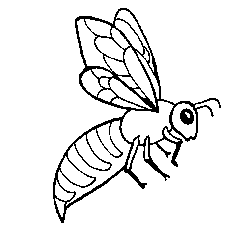 Coloring page Bee painted byyuan