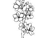 Coloring page Country flowers painted byBUTT