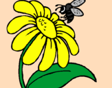 Coloring page Daisy with bee painted byMarga