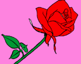 Coloring page Rose painted byjulia