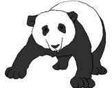 Coloring page Panda painted byRACHELL APOLINAR