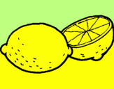 Coloring page lemon painted bypatricia