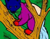 Coloring page Pine marten in tree painted byLayne