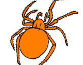 Coloring page Poisonous spider painted byscat
