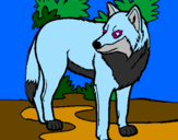 Coloring page Wolf painted byOnyx