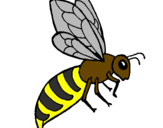 Coloring page Bee painted bybee